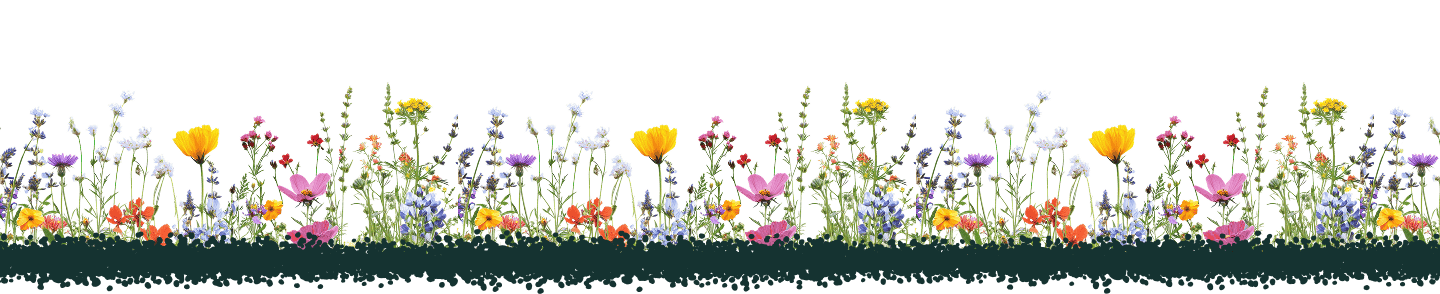 bandes fleurs bas