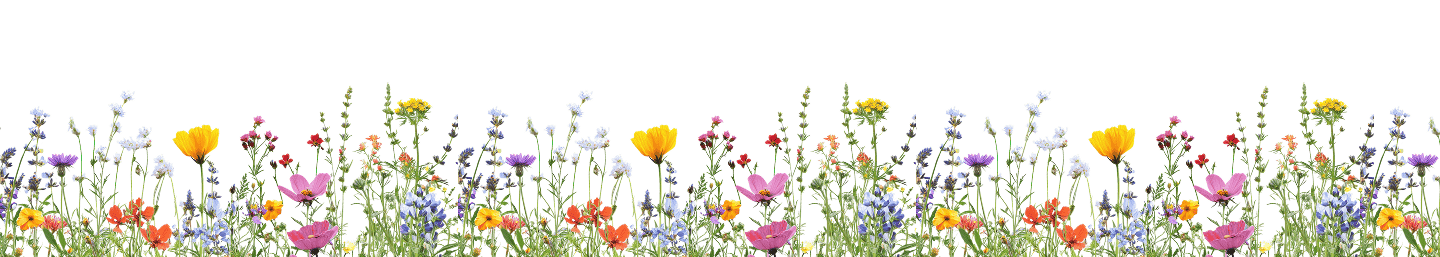 bandes fleurs haut