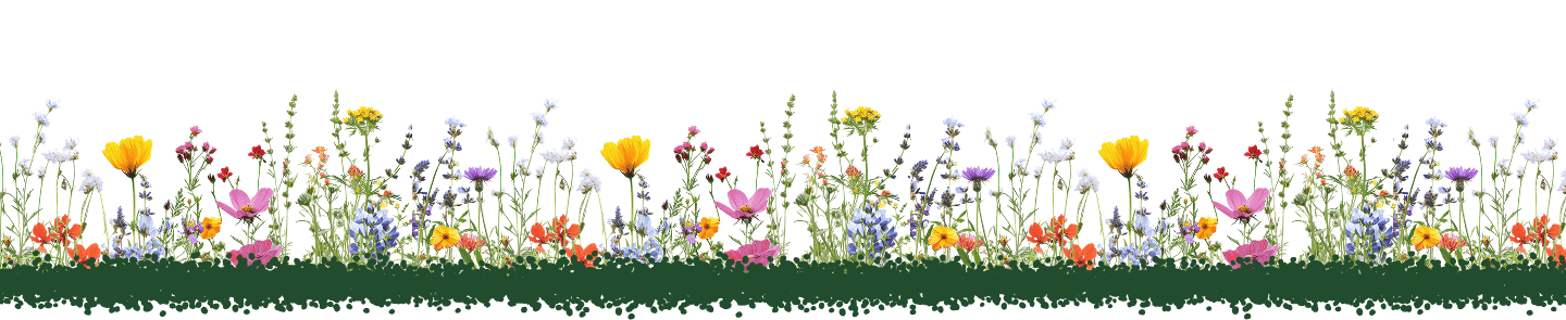 flower beds in the middle