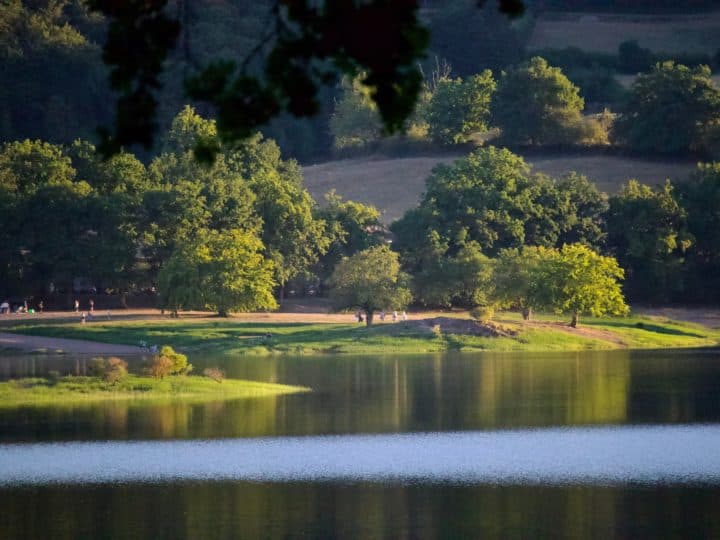 lac de pannecière dans le morvan en été.