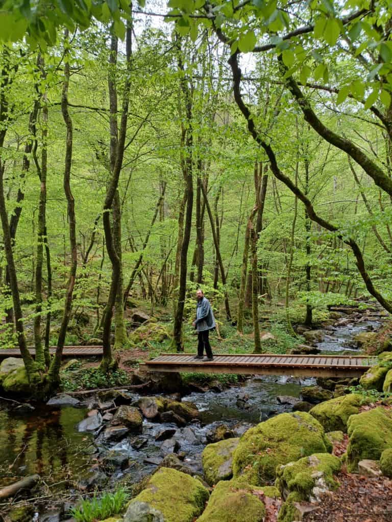 morvan (1)