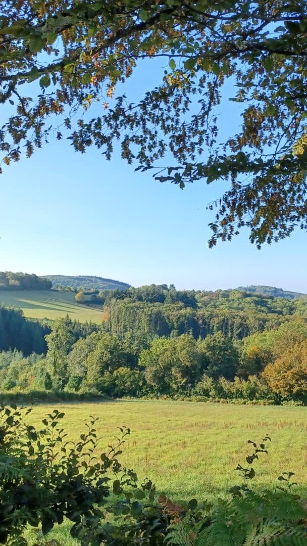 morvan (3)