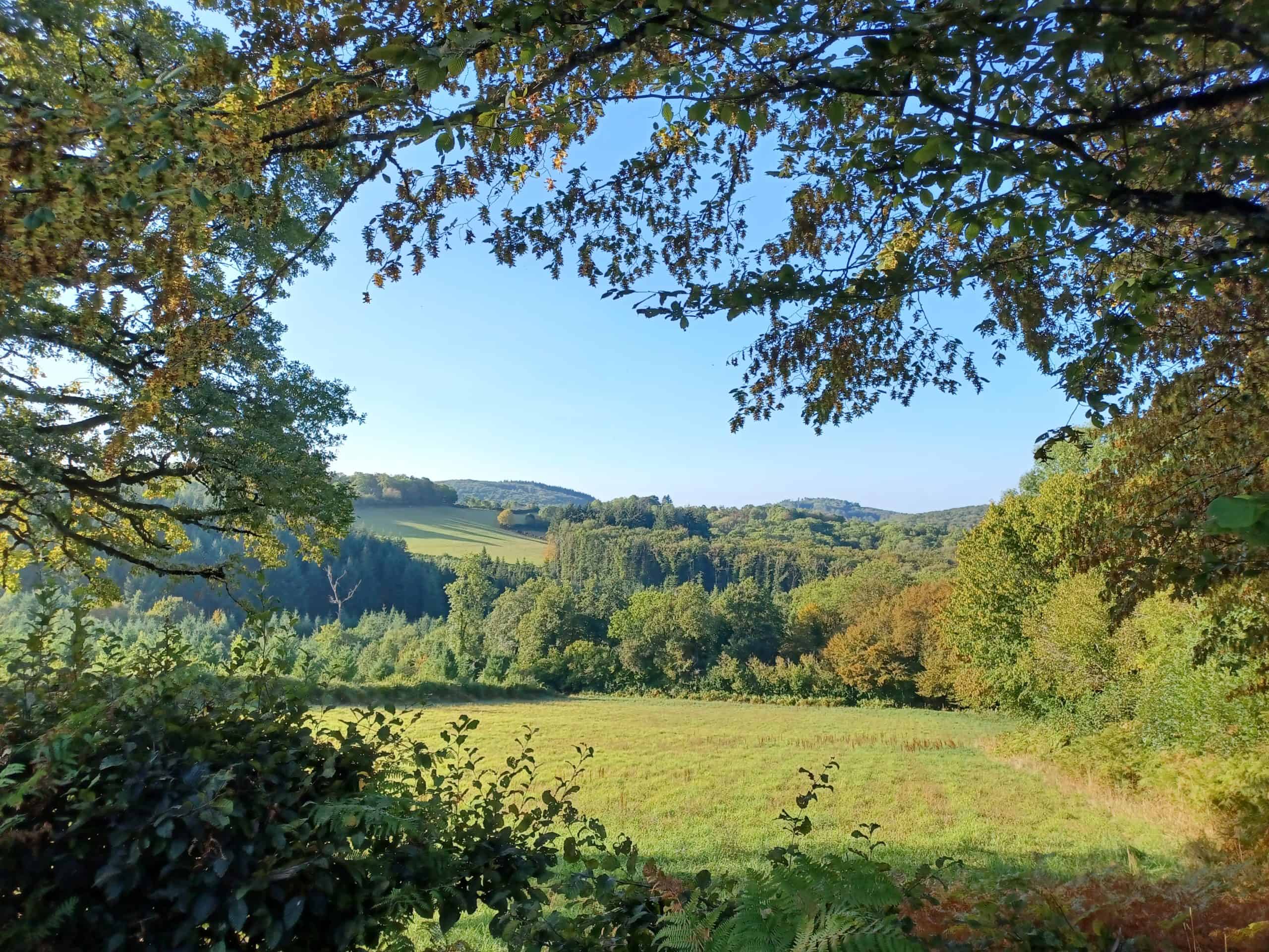 morvan (3)