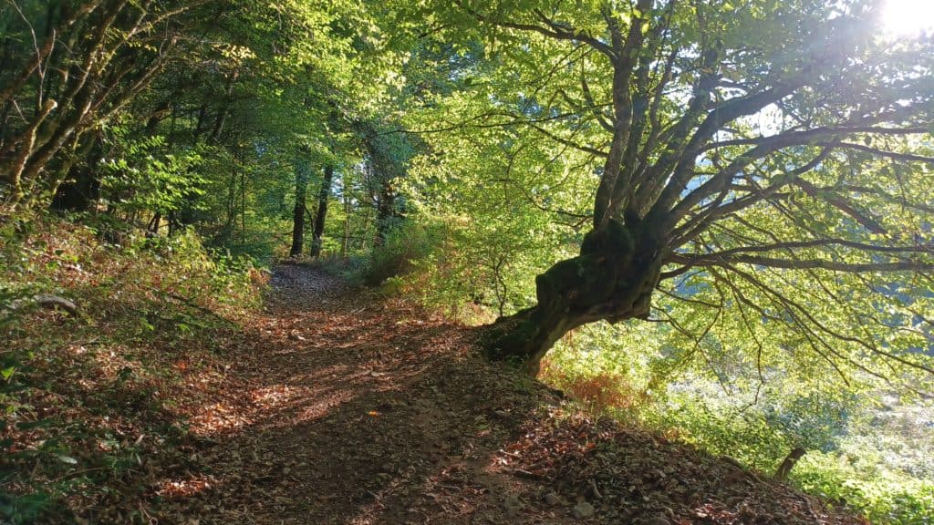 morvan (4)