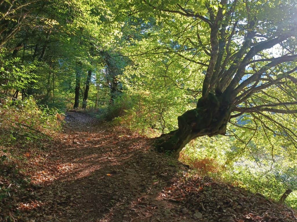 morvan (4)